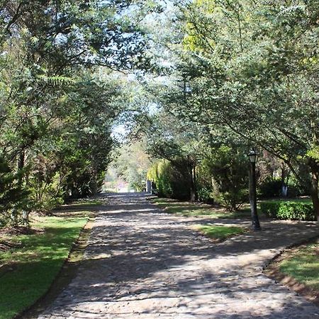 Rancho San Antonio Hotel Huasca de Ocampo Eksteriør billede