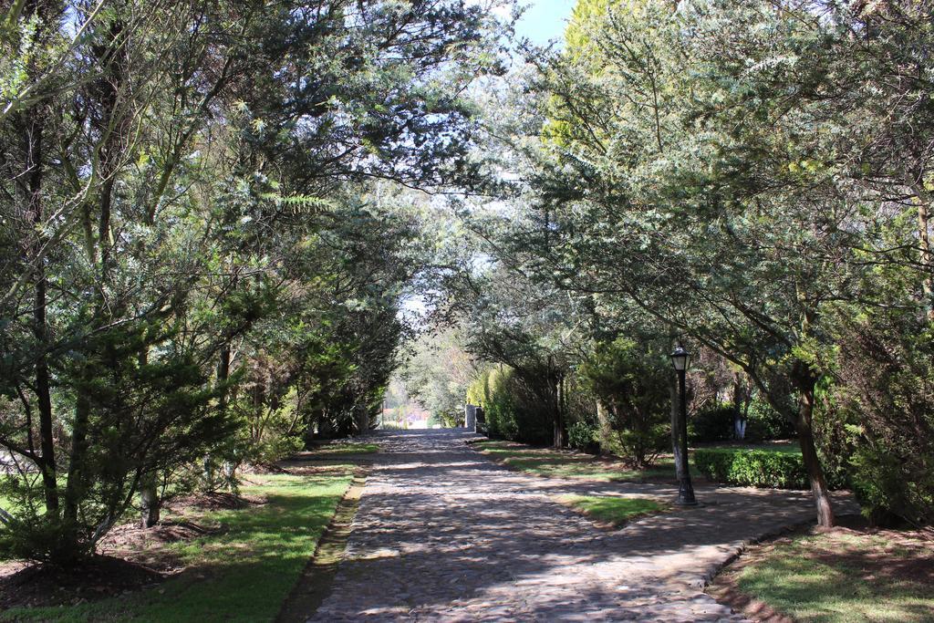 Rancho San Antonio Hotel Huasca de Ocampo Eksteriør billede