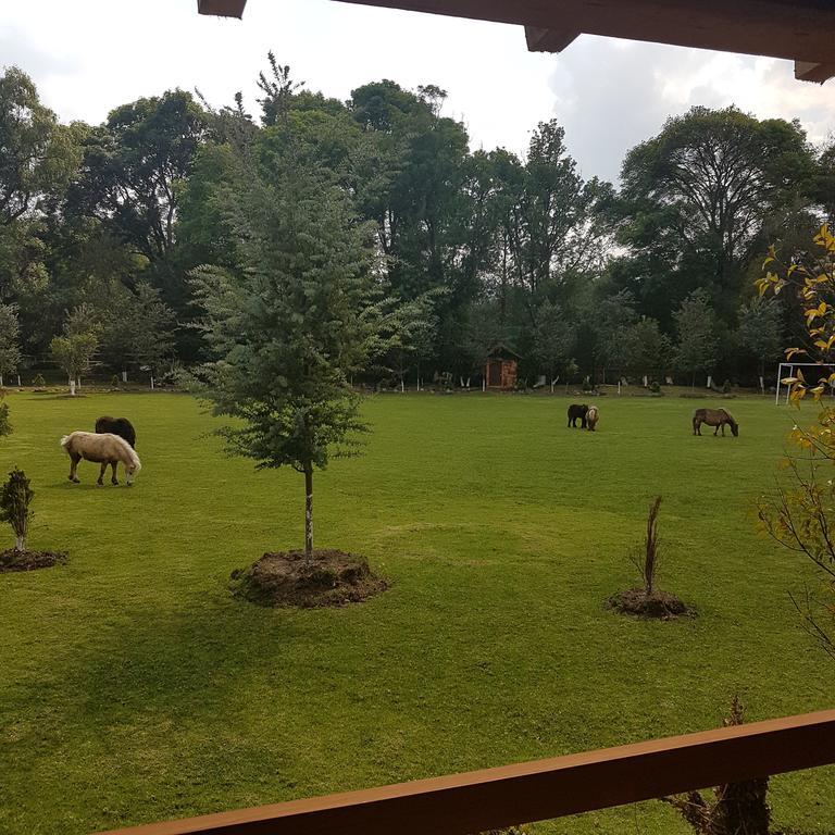 Rancho San Antonio Hotel Huasca de Ocampo Eksteriør billede