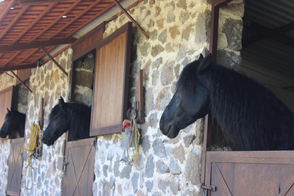 Rancho San Antonio Hotel Huasca de Ocampo Eksteriør billede