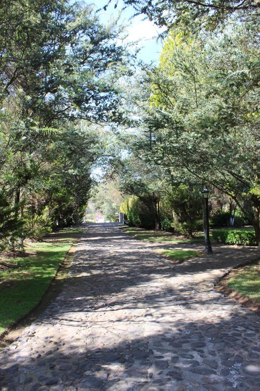 Rancho San Antonio Hotel Huasca de Ocampo Eksteriør billede